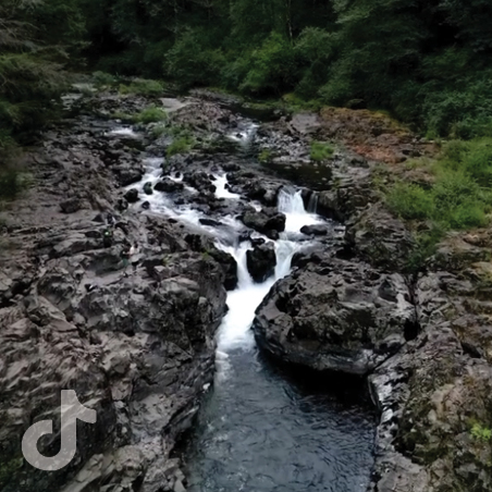 Visit Vancouver WA on TikTok